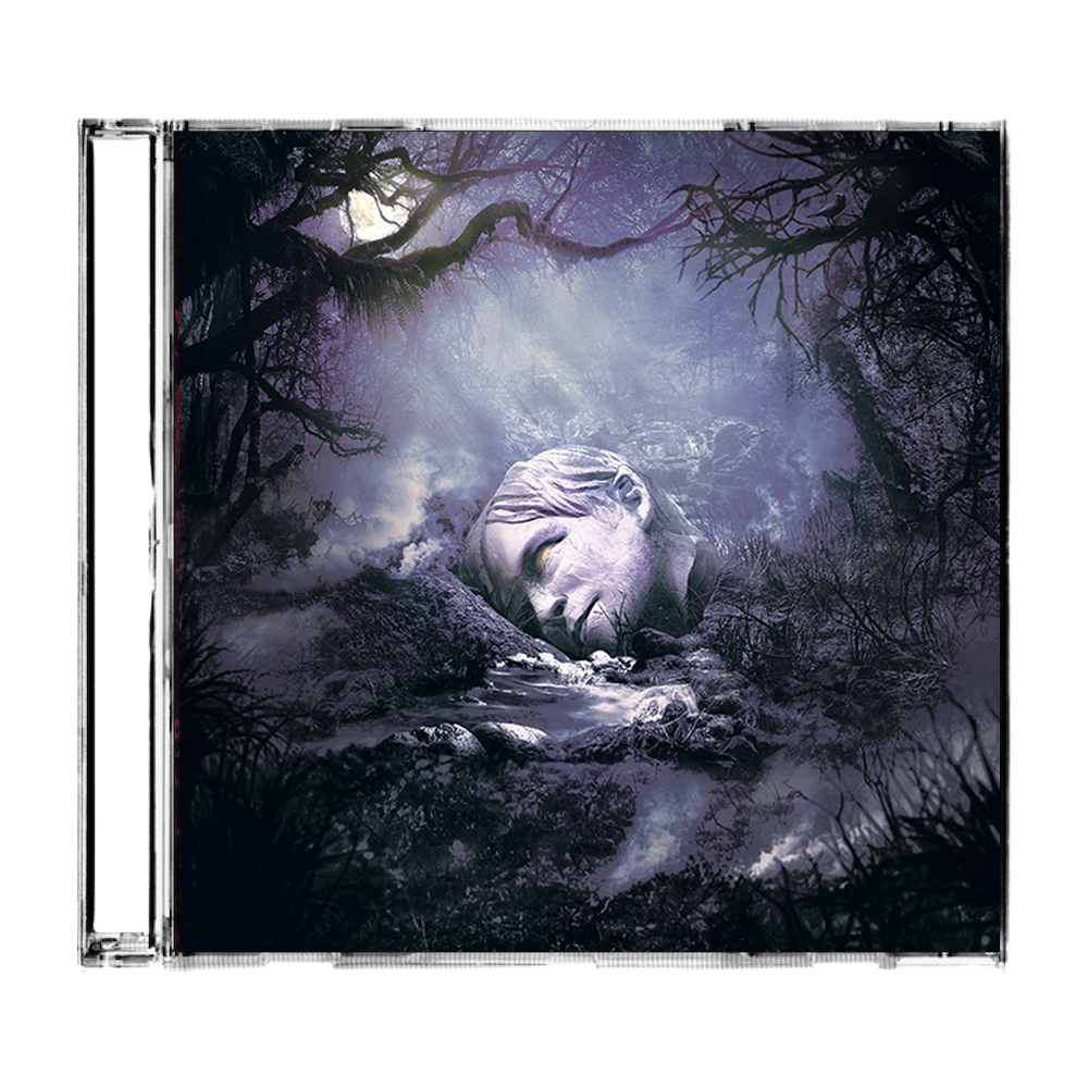 A giant stone face lying among rocks and mist in a mystical forest setting.