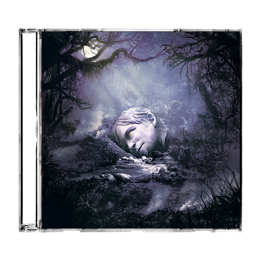A giant stone face lying among rocks and mist in a mystical forest setting.